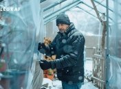 Теплицу следует правильно подготовить перед наступлением весны (изображение создано с помощью ИИ)