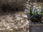 Вербные ветки на Вербное воскресенье 2019: Сколько должно быть и как их украсить