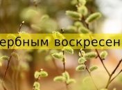 Вербное воскресенье 2020: лучшие поздравления в светлый праздник