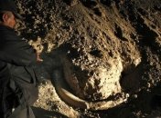 Алтайские ученые нашли бивень мамонта длиной более 2 метров