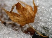 Завтра в Украину придут снег и метели  