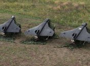 Российские дроны "Гербера"