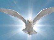 Прощеное воскресенье - последнее воскресенье перед Великим постом