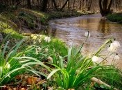 Яке свято 24 квітня: народні прикмети і заборони