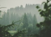 Осень берет свое: 4-5 сентября Украину окутают дожди с грозами