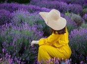Сиренево-фиолетовая красота: в Украине приобретают популярность прогулки по лавандовым полям