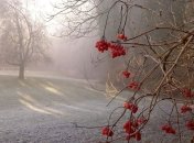 Ноябрь стал самым холодным в XXI веке: эта осень в Киеве побила все рекорды 