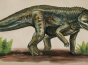 Палеонтологи нашли нового хищника из триаса