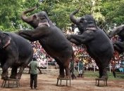 Шри-Ланка заинтересована в увеличении потока российских туристов 