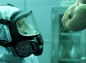 Американцы разрешат создание человеческих химер