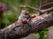 Какой праздник 19 мая: народные приметы и запреты