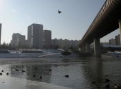 Экологические акции в Подмосковье