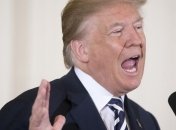 Трамп подтвердил поимку пяти террористов "ИГИЛ"