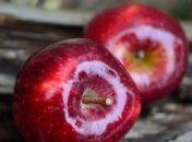 Медики назвали самый полезный фрукт для профилактики рака