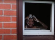 Марлос прямо из душевой подсказал Бущану, как потащить пенальти от Зинченко (видео)