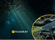 Обитают ли в Украине огромные сомы