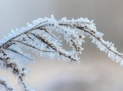 Какой завтра праздник: приметы и обряды на 11 января