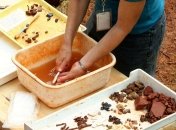 Археологія (ілюстрація)