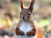 28 февраля. Приметы дня