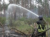 Под Станицей Луганской спасатели ликвидировали пожар