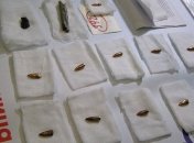 Депутатам Европарламента покажут осколки, извлеченные из бойцов АТО