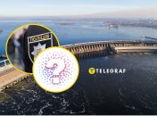 В Запорожье заметили необычных птиц