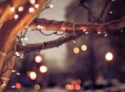 Рождественская "аллея света" в Гетеборге 