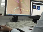 Особые клетки позволяют влиять на аппетит