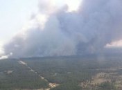 На Херсонщине до сих пор горит лес: впечатляющие фото
