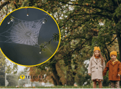 В Україні — бабине літо