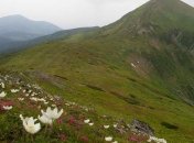 В горах Закарпатской области заблудилась группа туристов