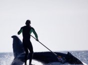 Австралийца оштрафовали за катание на ките