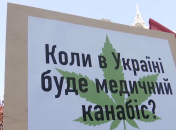 Вопрос легализации медицинского каннабиса имеет своих сторонников и противников