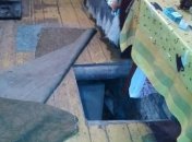 Двойное убийство в Закарпатской области: убиты пожилые супруги