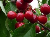 В Украину придет настоящая летняя жара