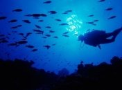 Для любителей дайвинга создают искусственный риф