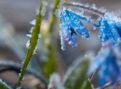 Синоптики предупредили о заморозках: какие регионы попадают под удар