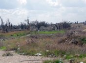 В ООН считают, что бомбардировки в Сирии имеют признаки военных преступлений