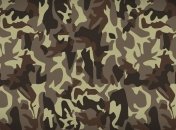 Сегодня в Армении отмечают День Армии