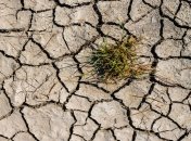 Больше всех пострадают люди: количество засух в мире стремительно растет
