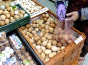 В Японии начали массово уничтожать кур из-за вспышки птичьего гриппа