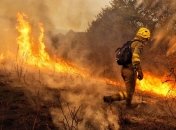 Лесной пожар возник в Боржомском ущелье Грузии