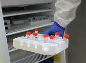 В Украине за сутки протестировали на COVID-19 рекордное количество людей 