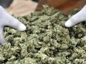 Таможенники обнаружили незаконное перемещение наркотиков