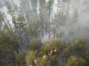 В Чернобыльской зоне произошел еще один пожар: фото и видео