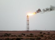 СМИ: Нефтяные государства прожигают свои валютные резервы