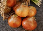 Фермерам вдалося стабілізувати збирання врожаю