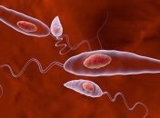 Зафиксированы случаи "болезни зомби"