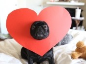 День святого Валентина 14 лютого 2022 року