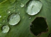  Из-за пожара на нефтебазе в Украине могут пройти кислотные дожди